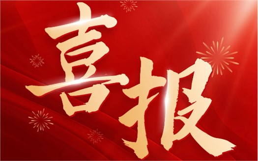 集团荣膺2025中国民营企业500强第249位，制造业民营企业500强第177位，排名较去年双双大幅提升